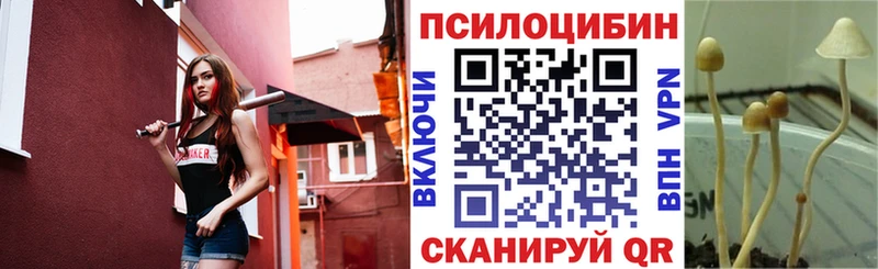 Купить  Бийск  Псилоцибиновые грибы прущие грибы 